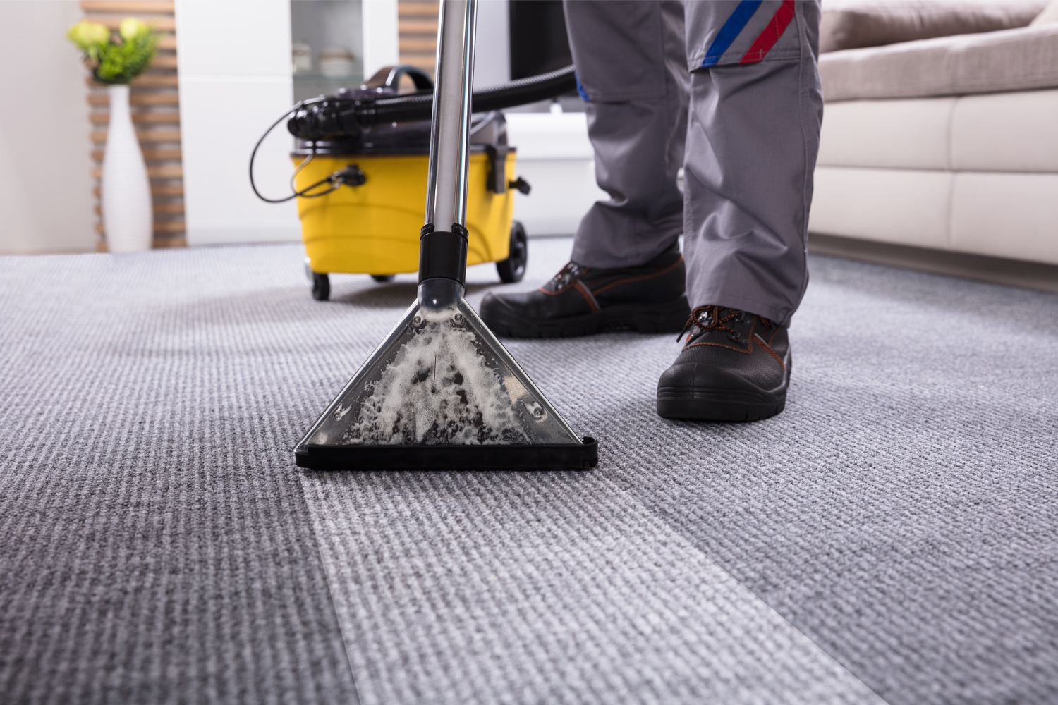 Jon Don Carpet Cleaning Equipment Carpet Vidalondon