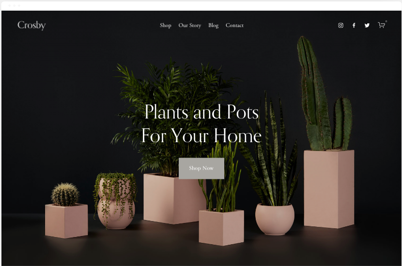 shopify alternatives