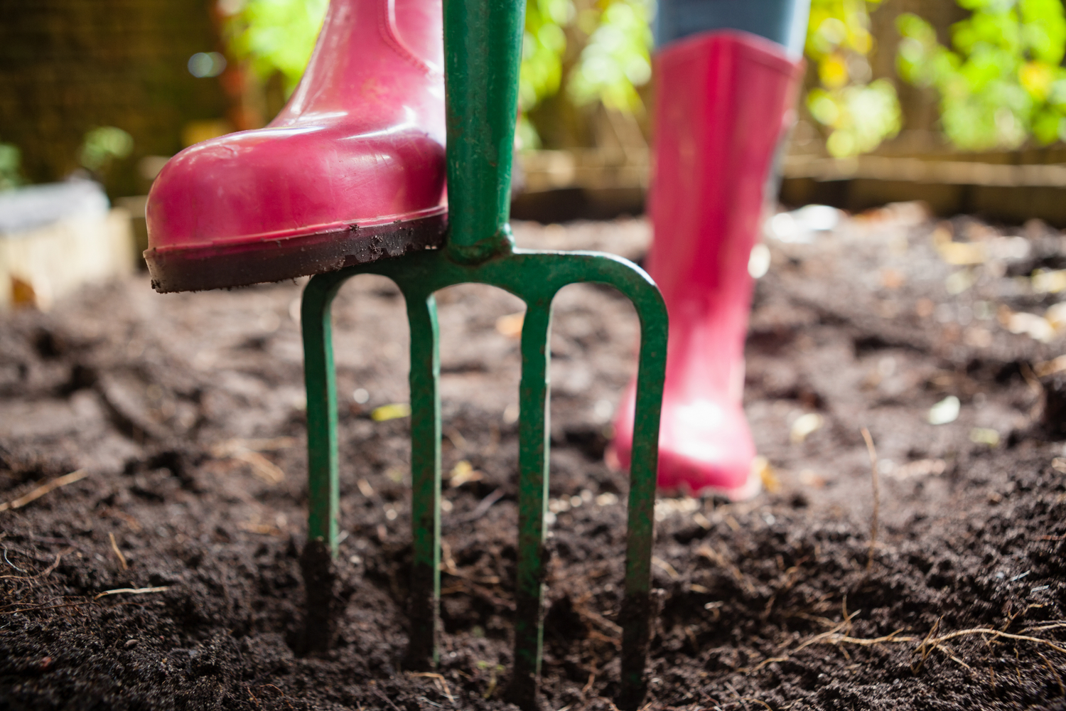 6 Profitable Small Farm Ideas For 2020 LaptrinhX